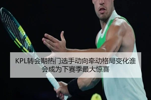 KPL转会期热门选手动向牵动格局变化谁会成为下赛季最大惊喜